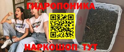 хмурый Свободный