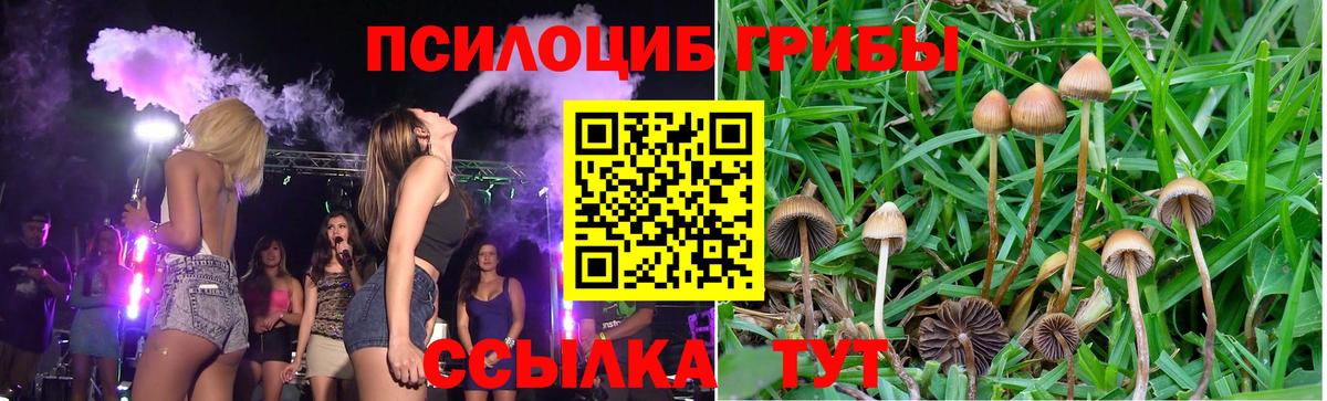 Псилоцибиновые грибы Magic Shrooms Бийск
