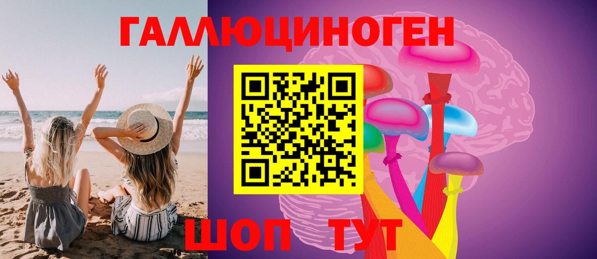 закладки  Вход с VPN  Бийск  Псилоцибиновые грибы GOLDEN TEACHER  Псилоцибиновые грибы GOLDEN TEACHER 